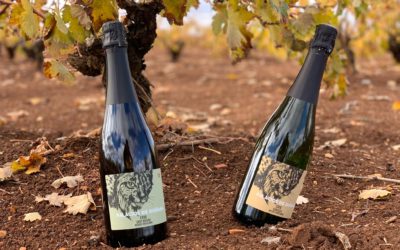 El cava con alma andaluza