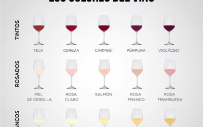 Los colores del vino